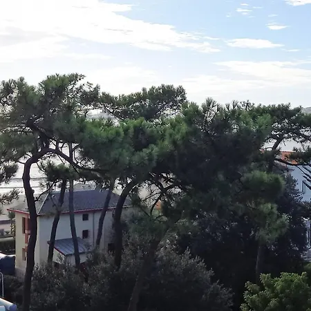 Apartment Parc - - La Grande Hune - Apercu *