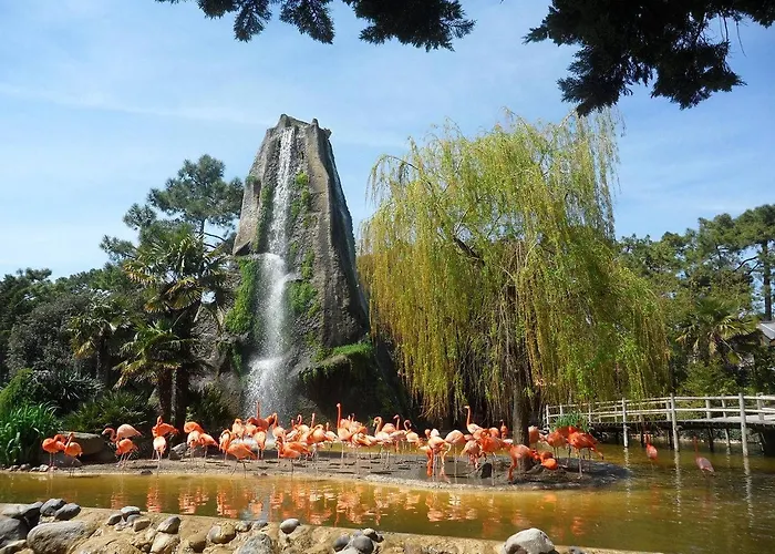 Parc - - Résidence La Grande Hune - Apercu