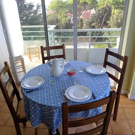 Parc - - La Grande Hune - Apercu Apartment