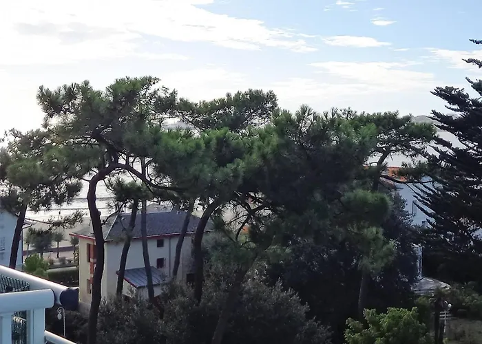 Apartamento Parc - - La Grande Hune - Apercu *