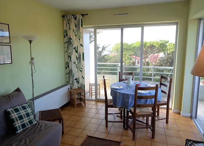 Parc - - La Grande Hune - Apercu * Royan